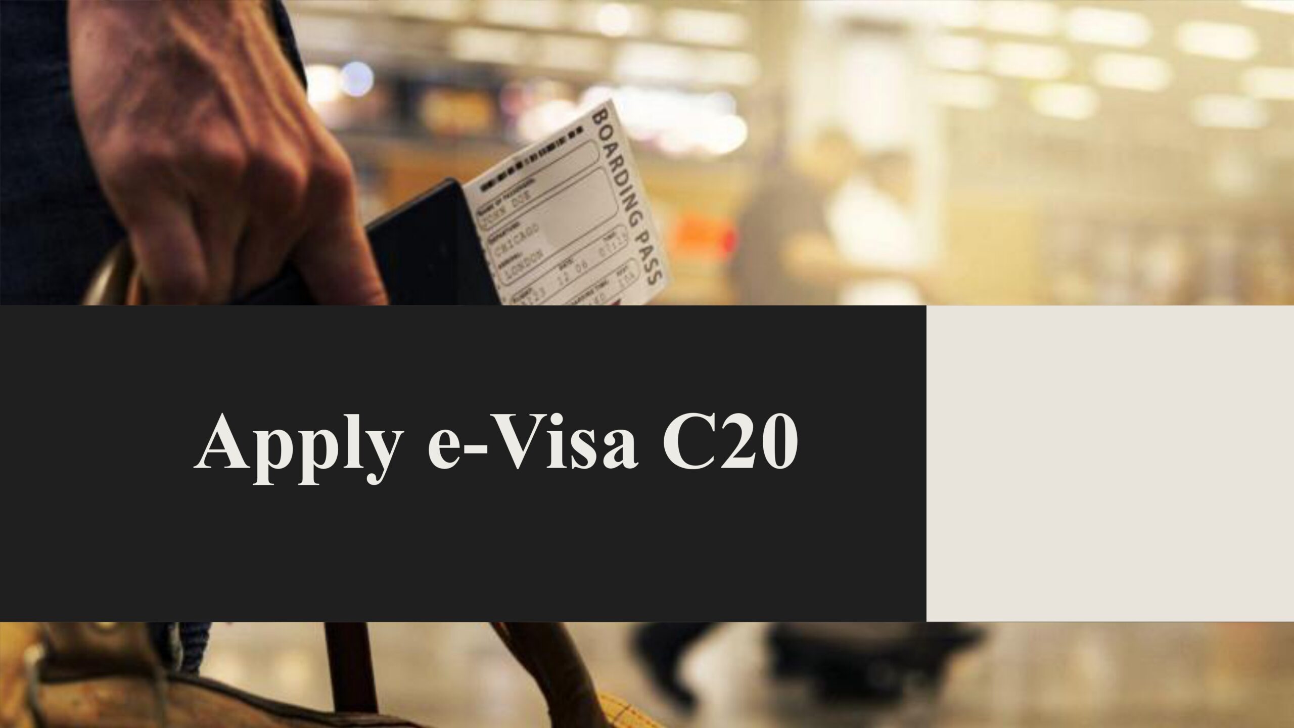Visa C20