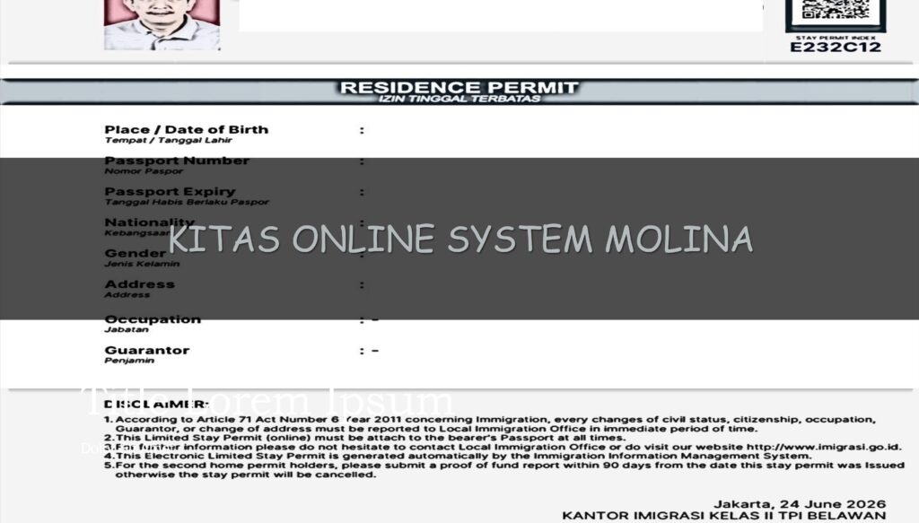 kitas online